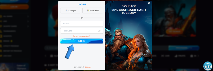 Rakoo Casino login